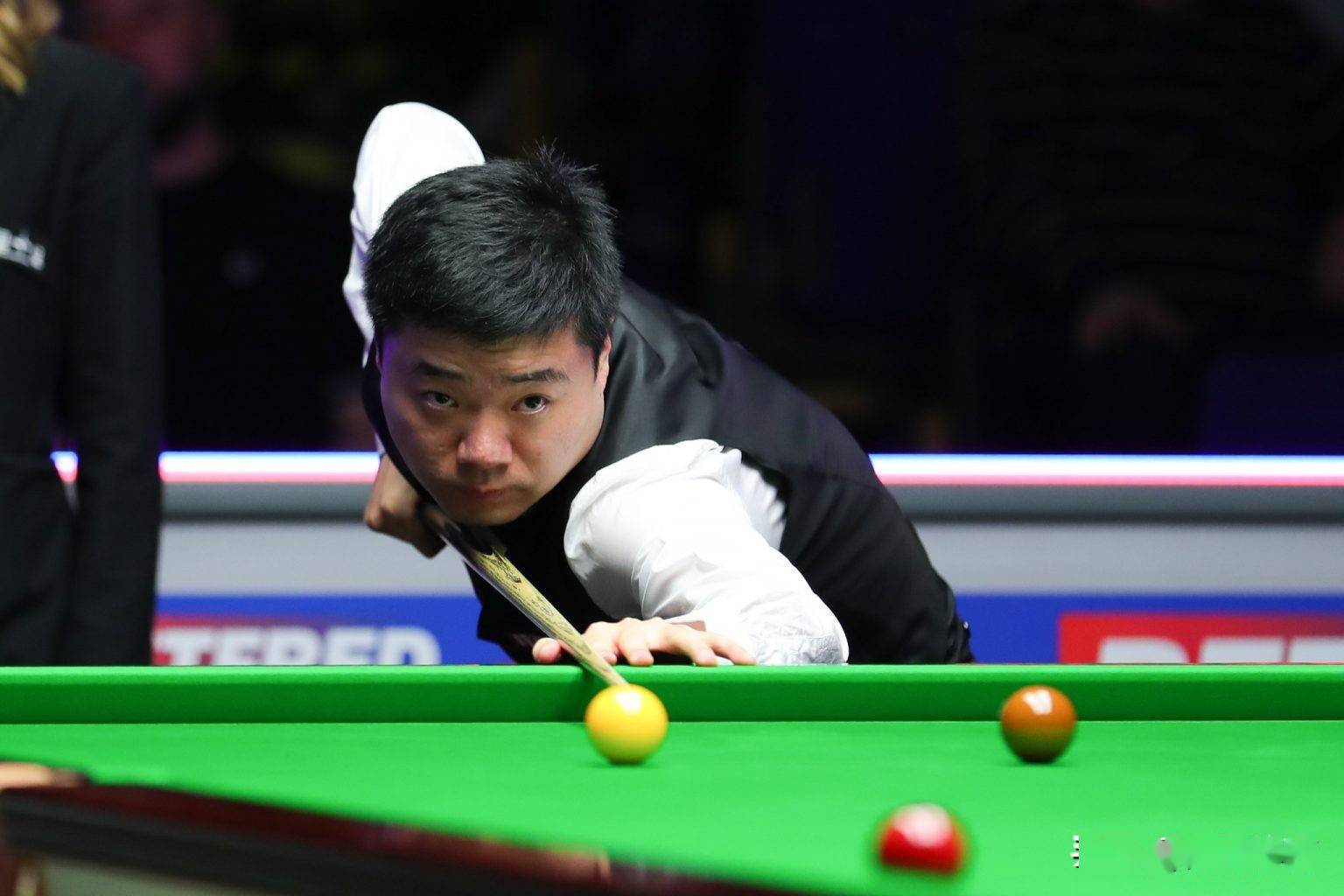 会立即将其 会立即将其