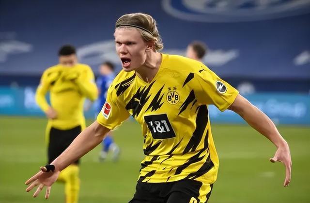 化的开放态 化的开放态